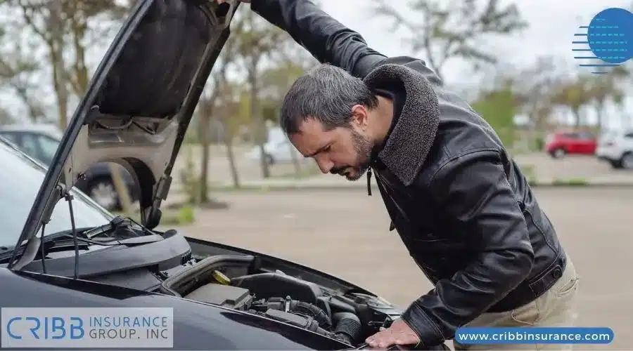 Inspecting VIN for authenticity on a car