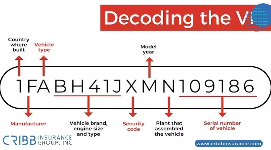 Infographic showing VIN structure and components