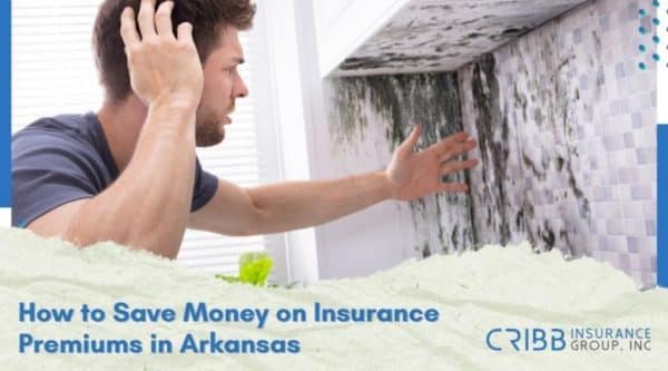 does homeowners insurance cover mold