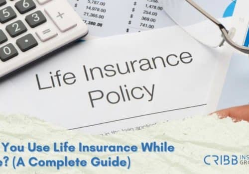 can you use life insurance while alive