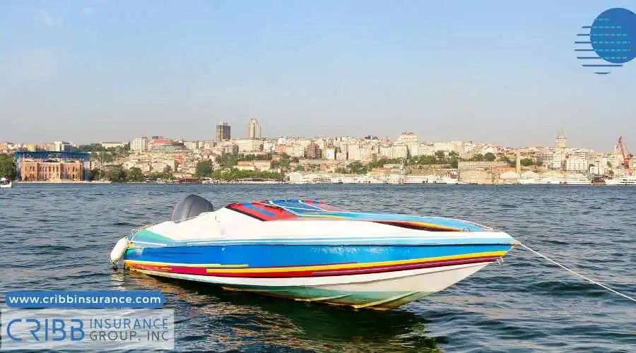 Speed boat in a professional race