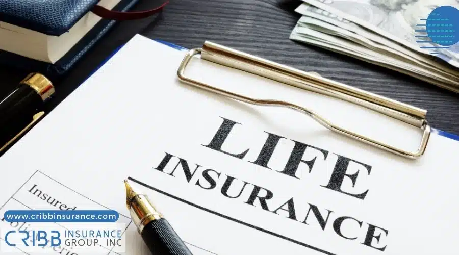 Pros and Cons Whole vs Universal Life Insurance