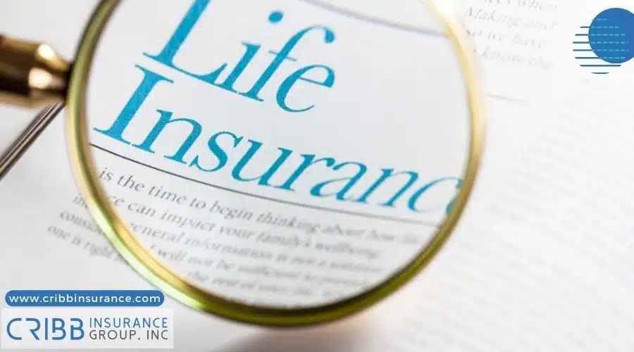 Term life vs whole life insurance options