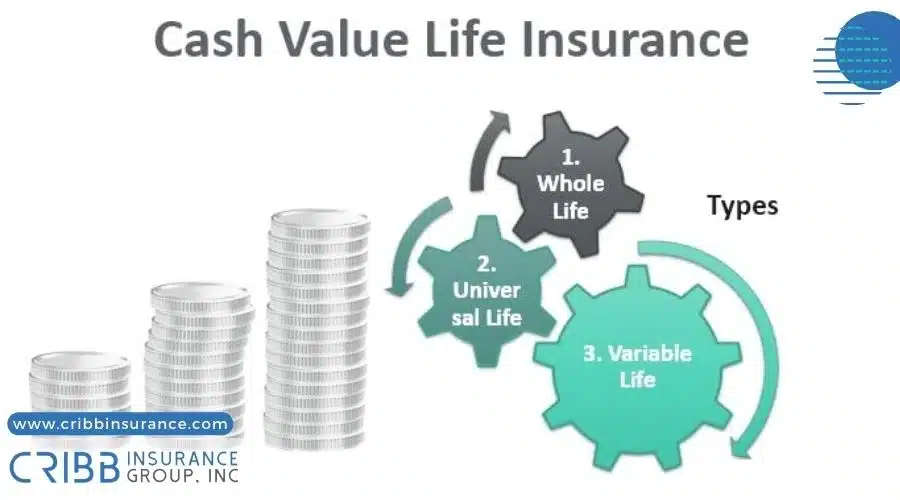 Growth of cash value in permanent life insurance