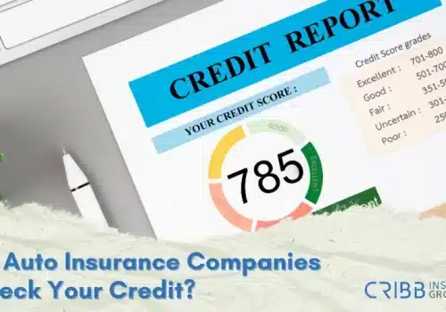 Credit score meter with insurance label