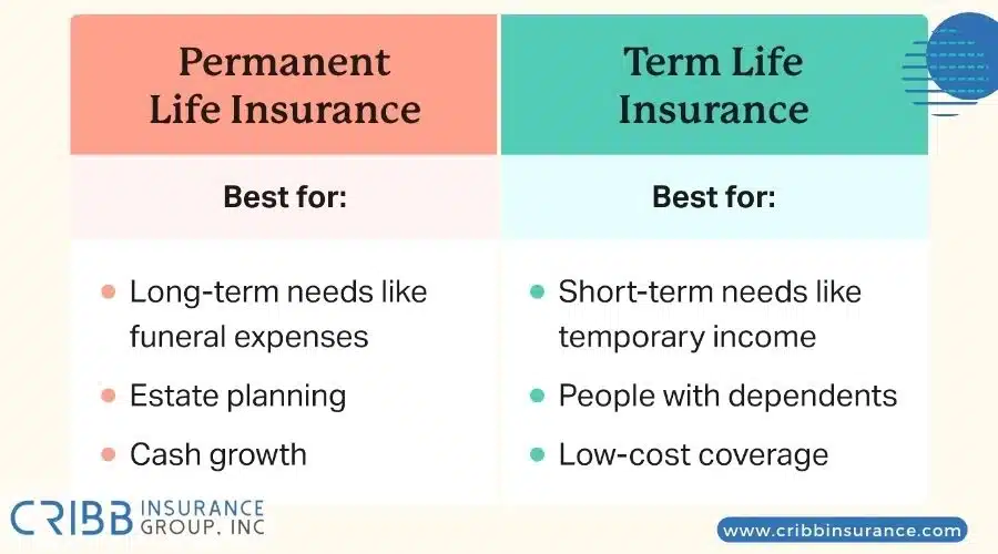 Comparison of term vs permanent life insurance