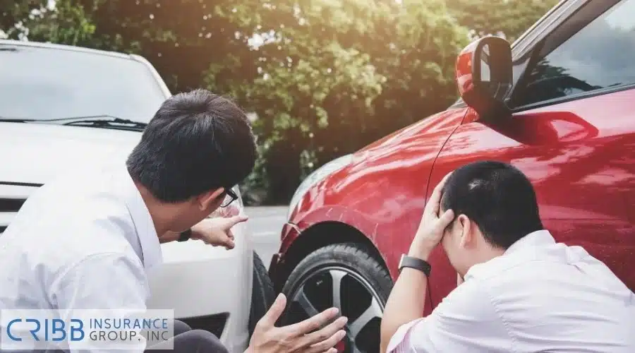 Man Arguing after a Car Accident 