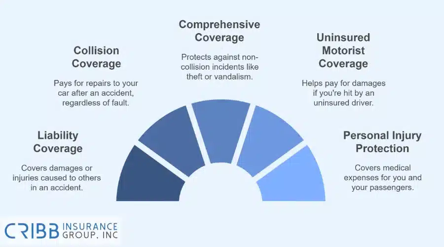 Types of car insurance coverage chart