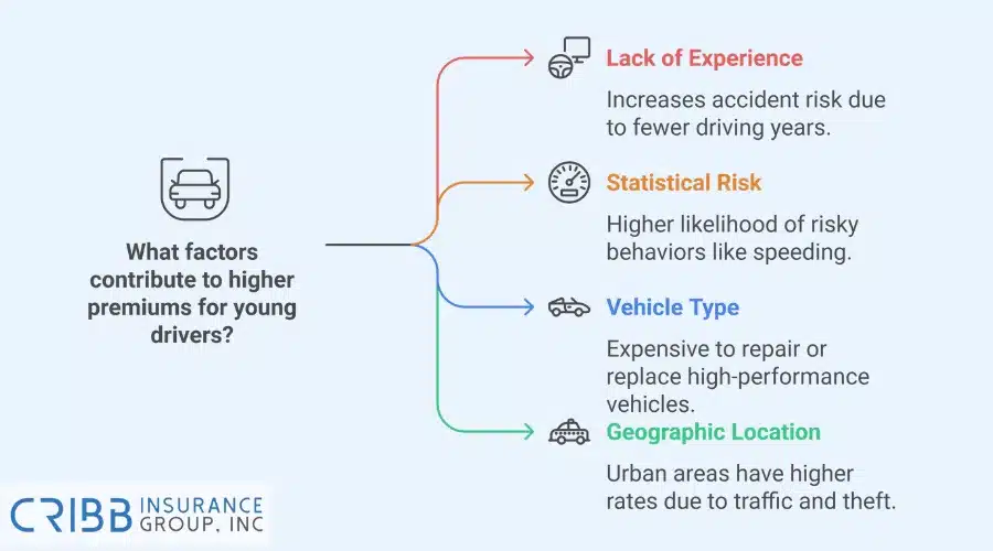 Chart showing factors that impact car insurance premiums