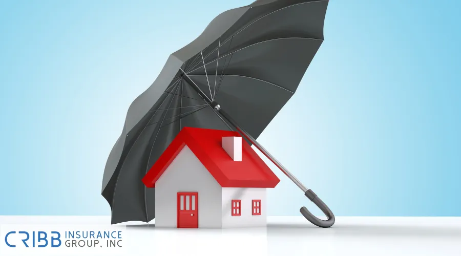 Cribb Insurance helps in choosing the best home insurance