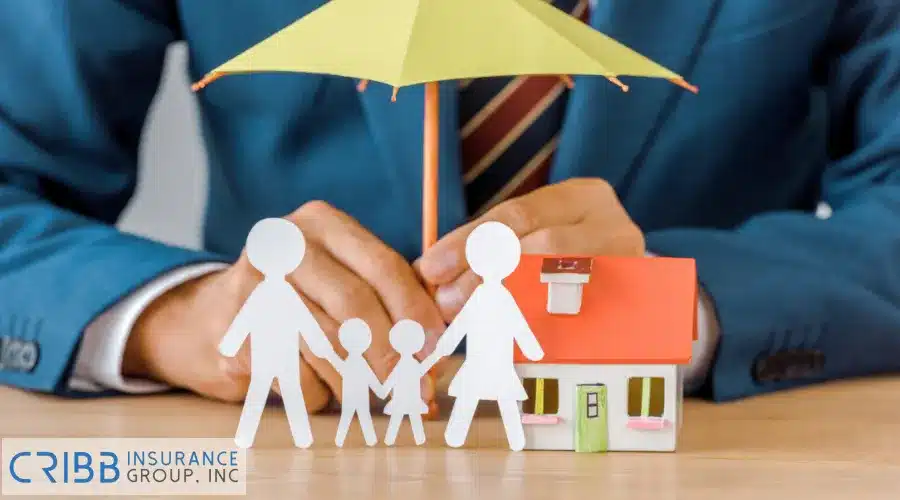 Illustration of life insurance safeguarding a family"